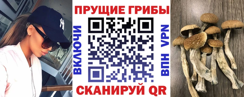 Псилоцибиновые грибы мицелий  Купить где  Льгов 